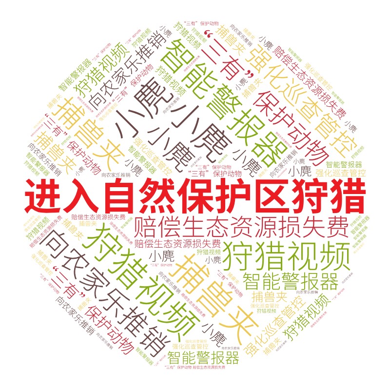 词云(5621843)-20260519073541.jpg